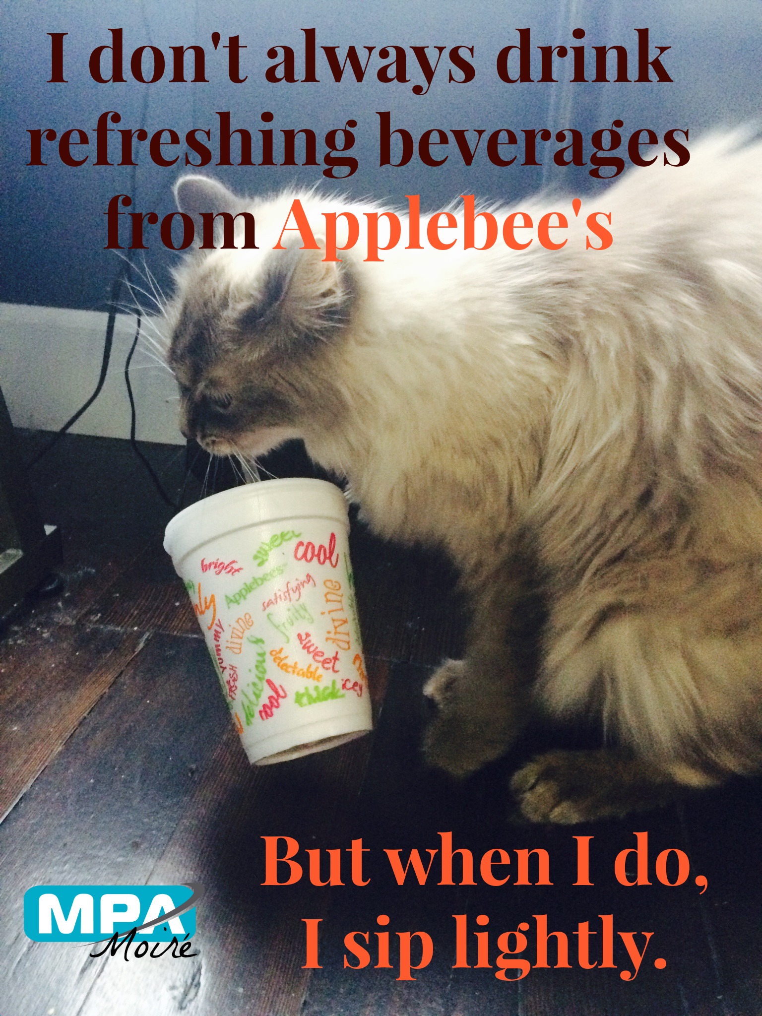 Most Interesting Cat Applebees meme